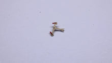 Peseux Calibre 7066 - NOS Movement Spares - Select From List-Welwyn Watch Parts