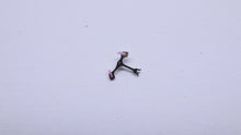 AS - Calibre 1727 - Movement Spares - New Old Stock !-Welwyn Watch Parts