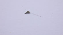 Buren - Calibre 1000 - Movement Spares - New Old Stock-Welwyn Watch Parts