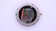 Rotary Elite - Watch Head - Bezel/Movement/Case Ring
