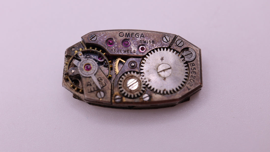 Invicta 33718 Shaq Invicta Watch Invicta Men's Watch 33718 –